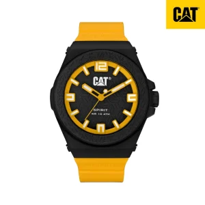 Swiss luxury watch with stainless steel band