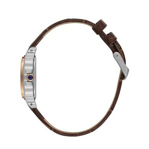 Swiss luxury watch with stainless steel band