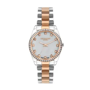 Swiss luxury watch with stainless steel band