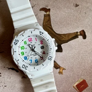 Swiss luxury watch with stainless steel band