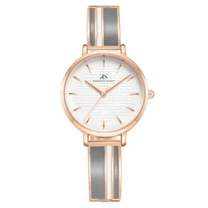 Swiss luxury watch with stainless steel band