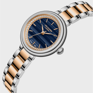 Swiss luxury watch with stainless steel band