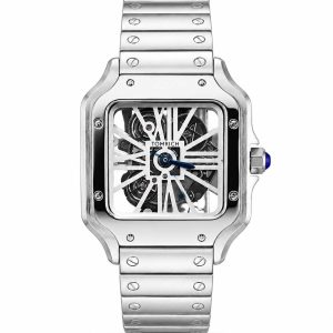 Swiss luxury watch with stainless steel band
