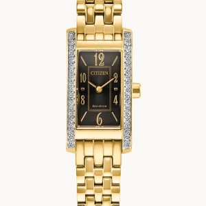Swiss luxury watch with stainless steel band
