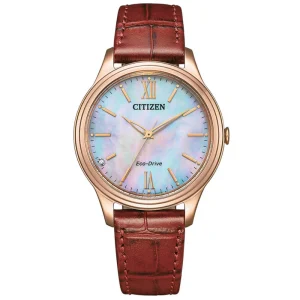 Swiss luxury watch with stainless steel band
