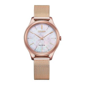 Swiss luxury watch with stainless steel band