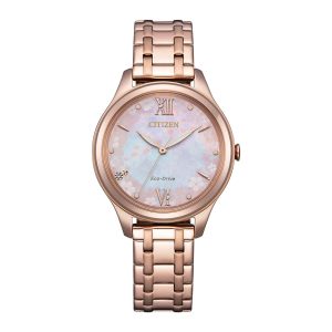 Swiss luxury watch with stainless steel band