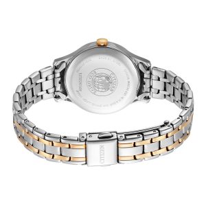 Swiss luxury watch with stainless steel band