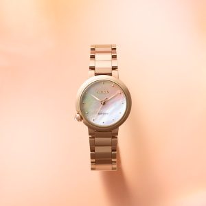 Swiss luxury watch with stainless steel band