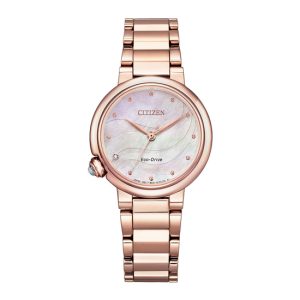 Swiss luxury watch with stainless steel band