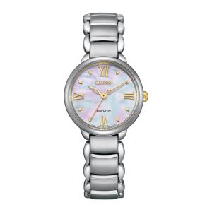 Swiss luxury watch with stainless steel band