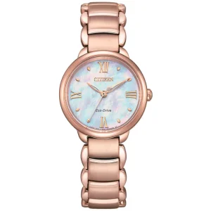 Swiss luxury watch with stainless steel band