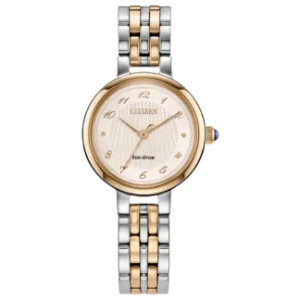 Swiss luxury watch with stainless steel band