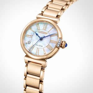 Swiss luxury watch with stainless steel band
