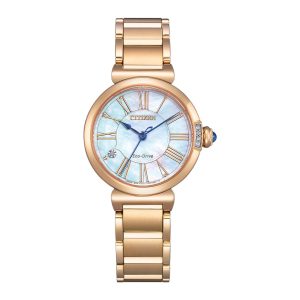 Swiss luxury watch with stainless steel band