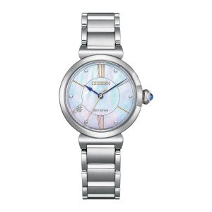 Swiss luxury watch with stainless steel band