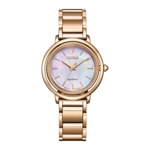 Swiss luxury watch with stainless steel band