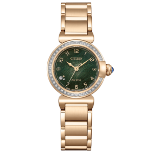 Swiss luxury watch with stainless steel band