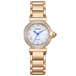 Swiss luxury watch with stainless steel band