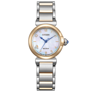 Swiss luxury watch with stainless steel band