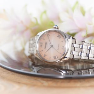 Swiss luxury watch with stainless steel band