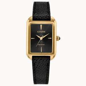 Swiss luxury watch with stainless steel band