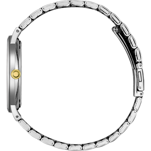 Timezone Oman – Luxury Watches, Swiss Timepieces & Smartwatches Swiss luxury watch with stainless steel band