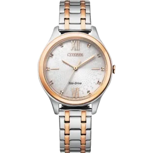 Swiss luxury watch with stainless steel band