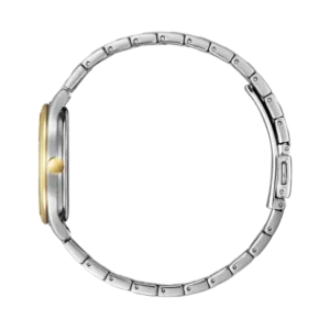 Swiss luxury watch with stainless steel band