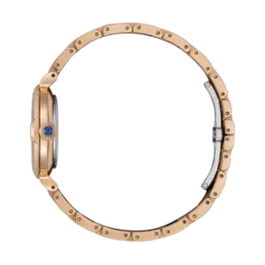 Swiss luxury watch with stainless steel band