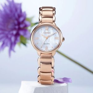 Swiss luxury watch with stainless steel band