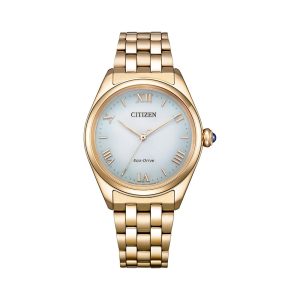 Swiss luxury watch with stainless steel band