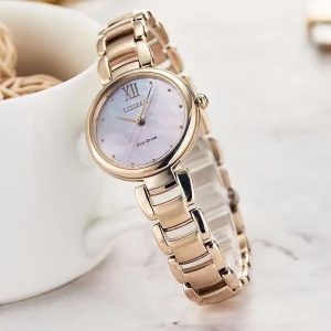 Swiss luxury watch with stainless steel band