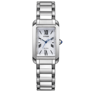 Swiss luxury watch with stainless steel band
