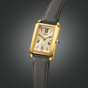Swiss luxury watch with stainless steel band
