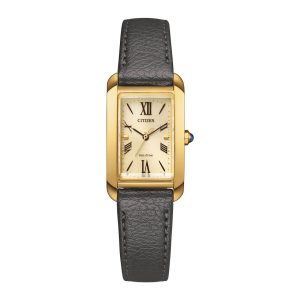 Swiss luxury watch with stainless steel band