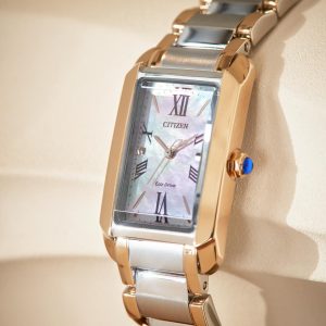 Swiss luxury watch with stainless steel band