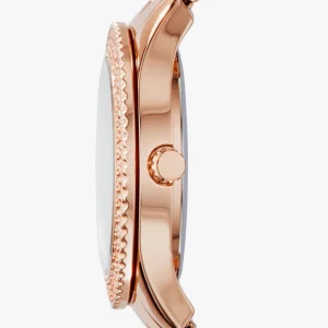 Timezone Oman – Luxury Watches, Swiss Timepieces & Smartwatches Swiss luxury watch with stainless steel band