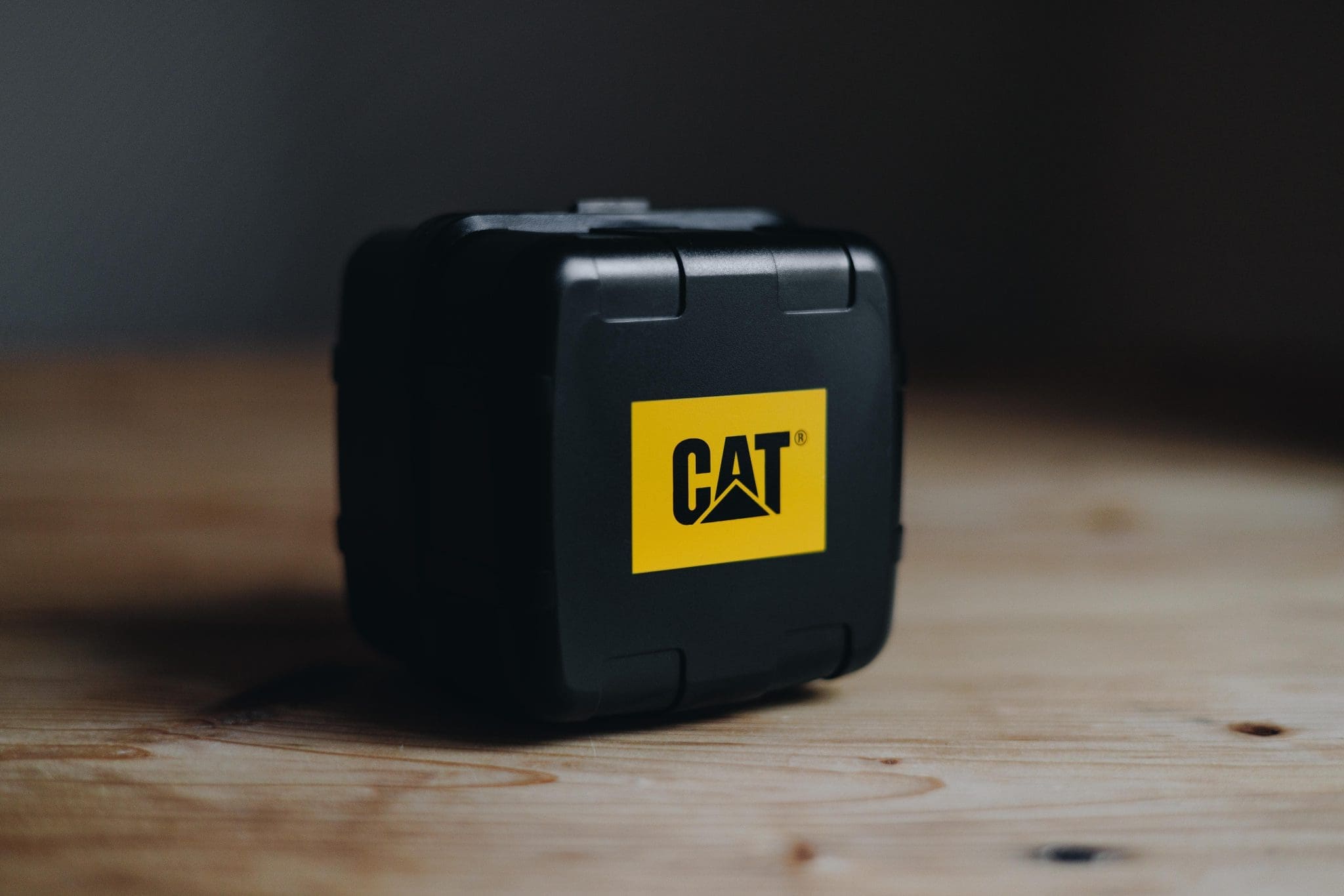 CAT NR.183.34.123 - Image 2